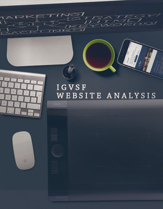 Website Analysis IGVSF