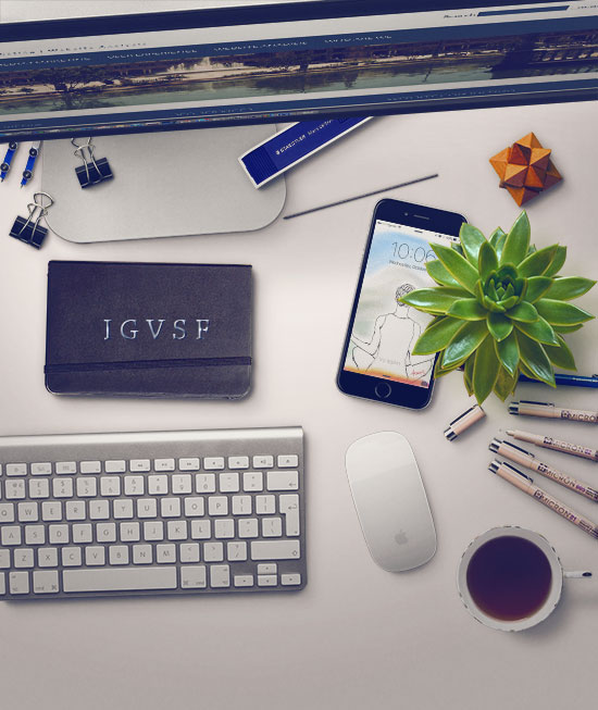 About IGVSF Consulting San Francisco